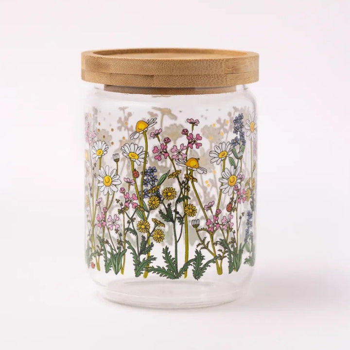 צנצנת: Chrysanthemum פרחי שדה