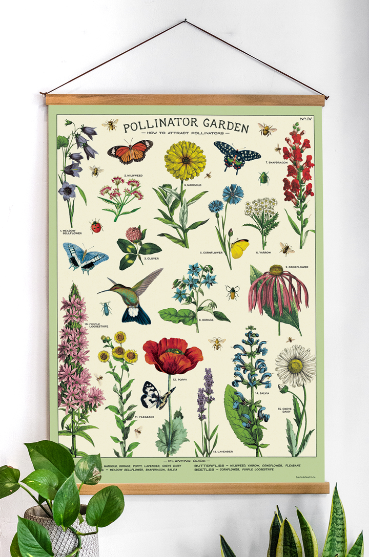 פוסטר נייר :Pollinators האבקה