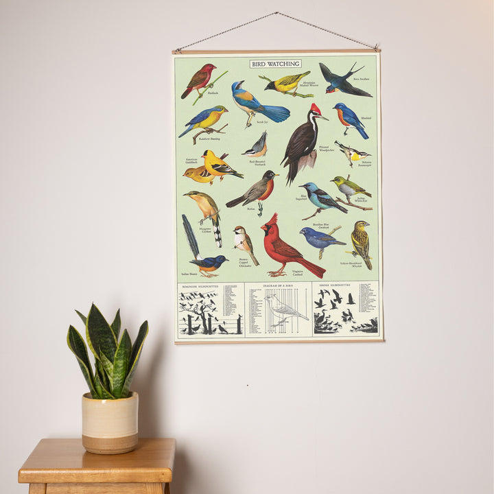 פוסטר: Bird Watching