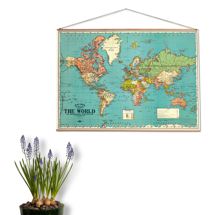 פוסטר :World Map 4
