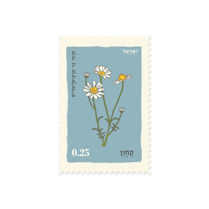 גלויה בחיתוך בול: Fruit Anthemis קחון