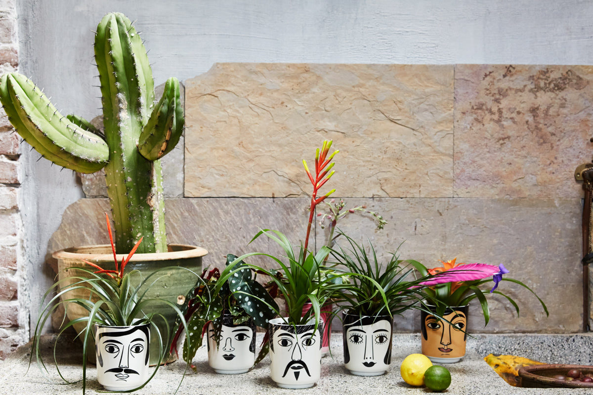 אגרטל מר וולש