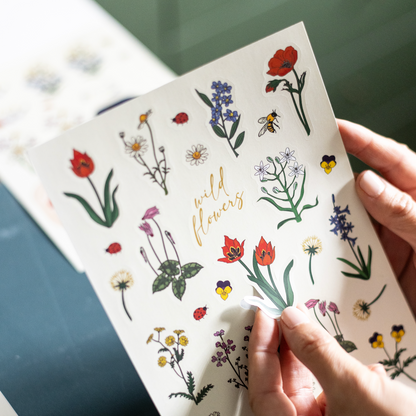 מארז דפי מדבקות: WILDFLOWERS