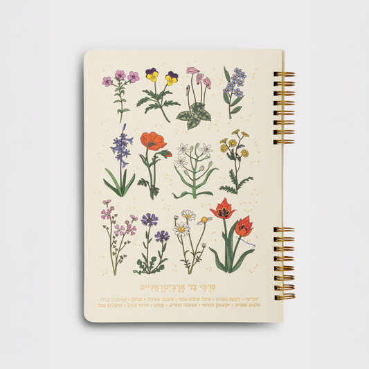 מחברת ספירלה : WILD CHART