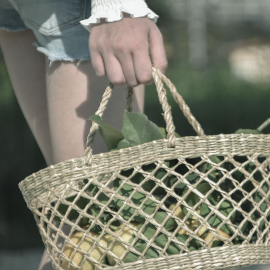 סל טנא גדול