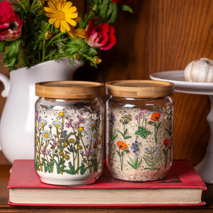 צנצנת: Chrysanthemum פרחי שדה