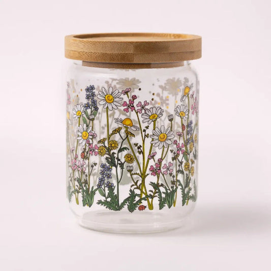 צנצנת: Chrysanthemum פרחי שדה