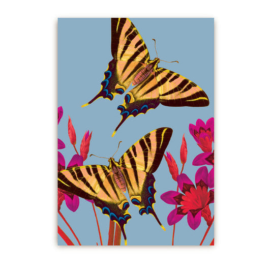 גלויה : Ixia Butterfly