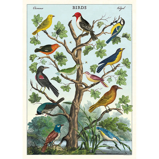 פוסטר: Birds in a Tree ציפורים