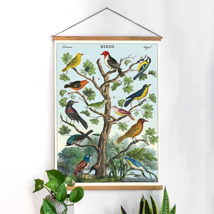 פוסטר: Birds in a Tree ציפורים