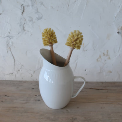 מברשת קיפוד