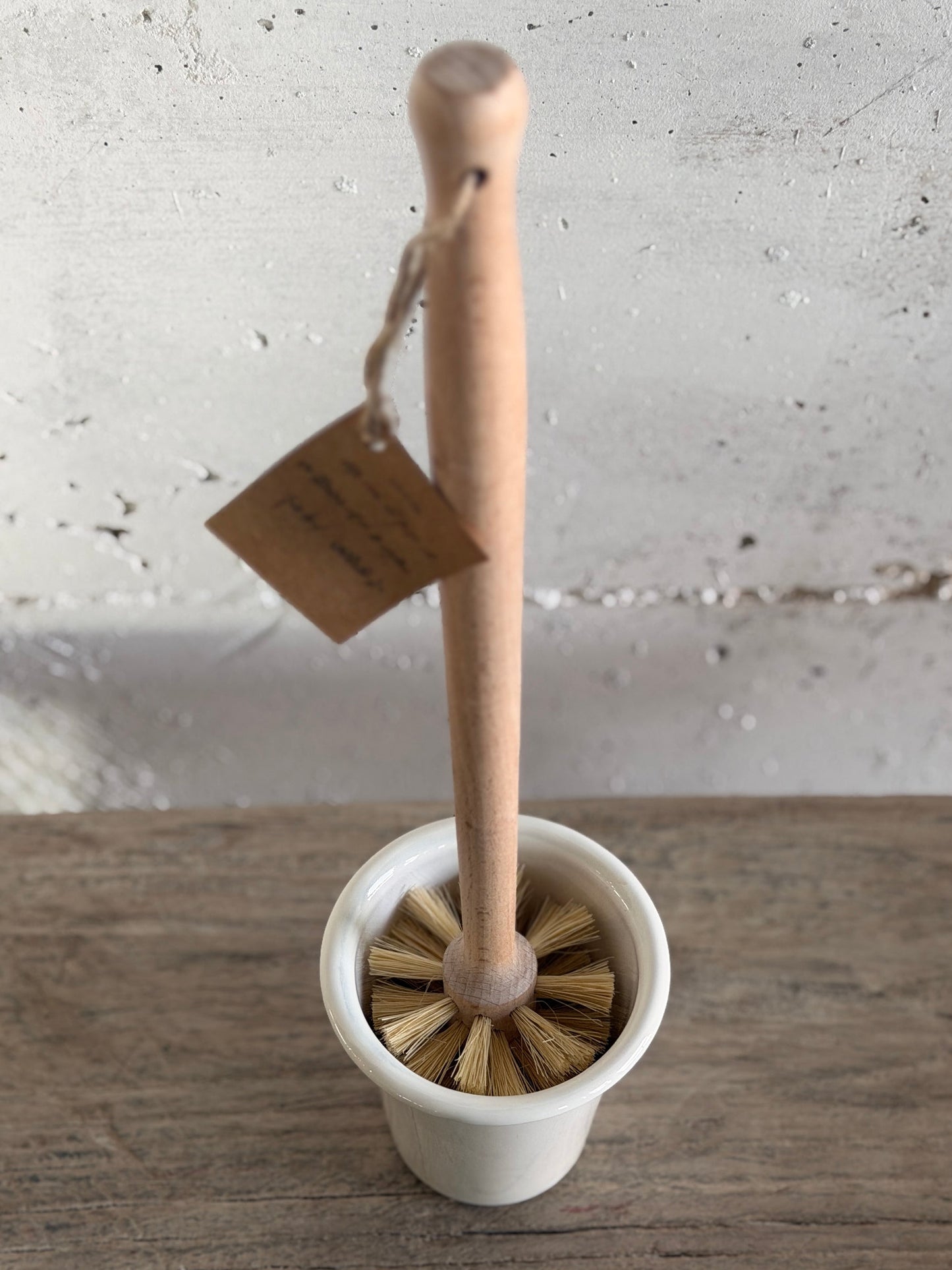 מברשת קיפוד