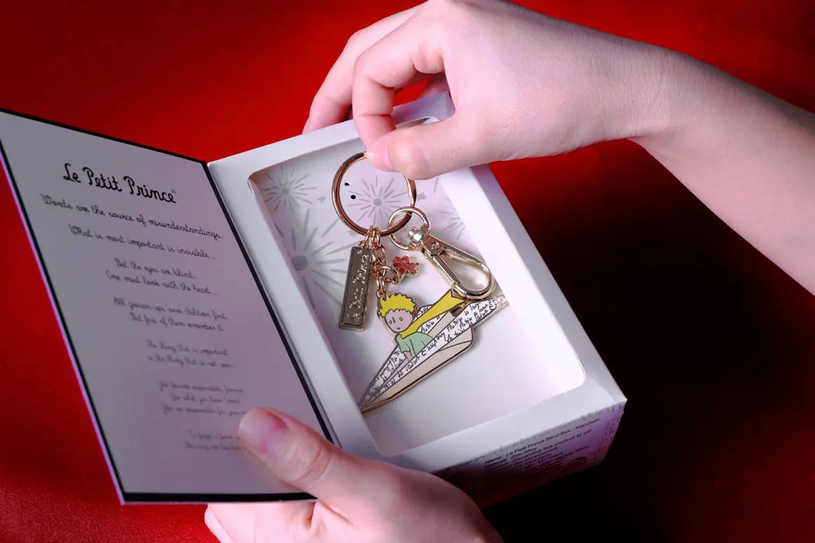 מחזיק מפתחות בקופסא מהודרת – הנסיך הקטן מטוס נייר