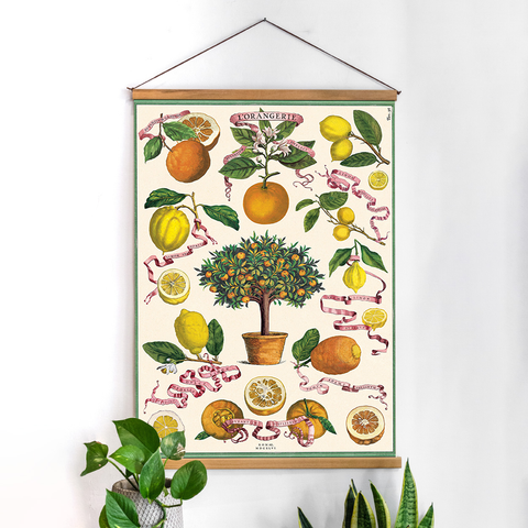 פוסטר נייר - פרות הדר L'Orangerie