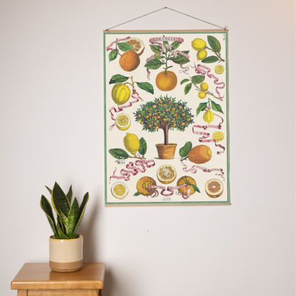 פוסטר נייר - פרות הדר L'Orangerie