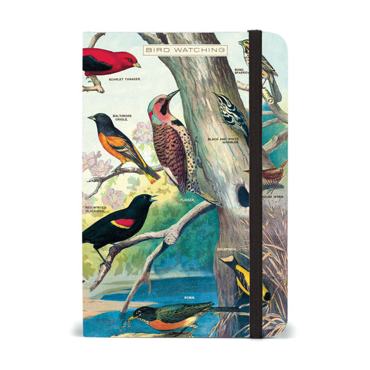 A6 מחברת שורה : Bird Watching
