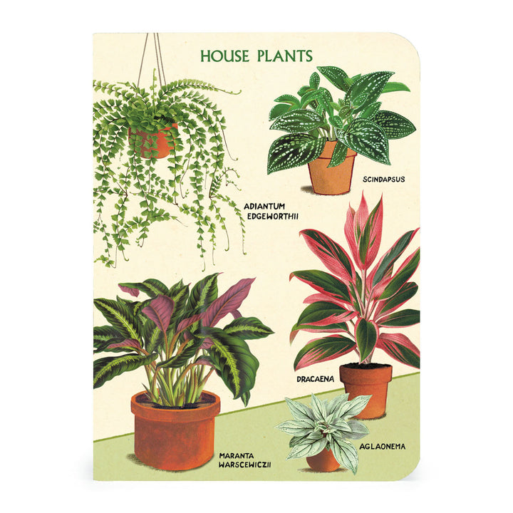 3 מחברות מיני : House Plants