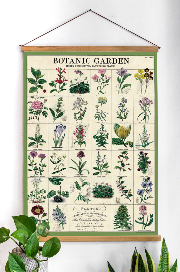 פוסטר : Botanic Garden