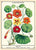 פוסטר: Nasturtiums