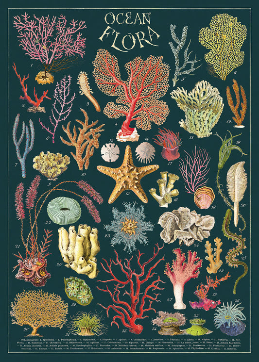 פוסטר : Ocean Flora