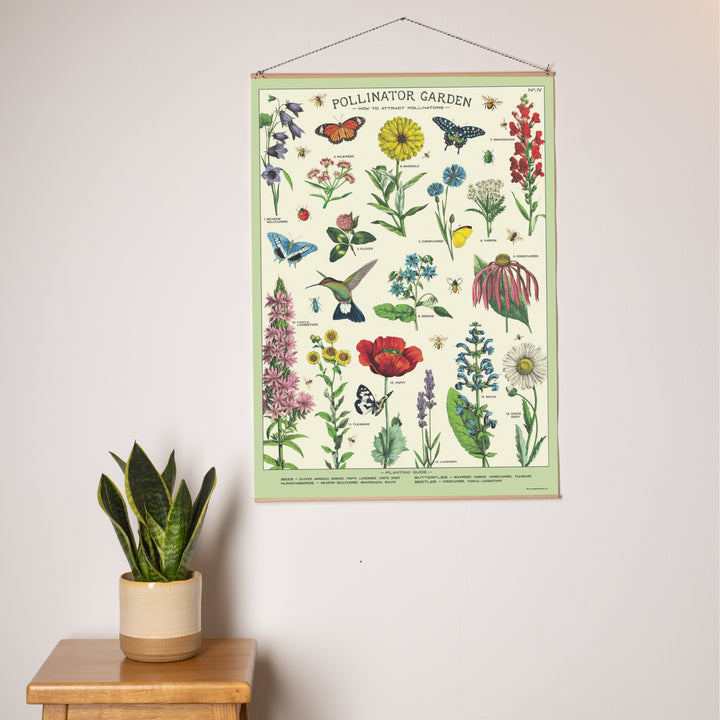 פוסטר נייר :Pollinators האבקה