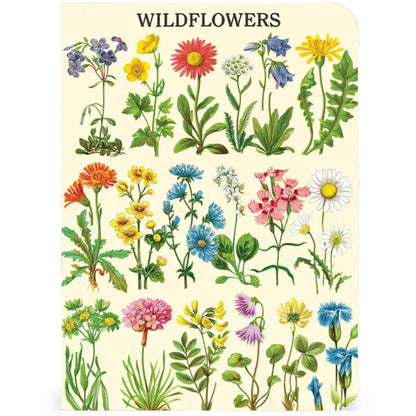 3 מחברות מיני : Wildflowers V2