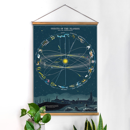 פוסטר : Orbit